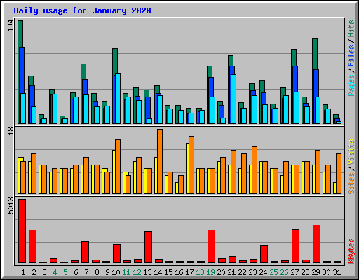 Daily usage for January 2020