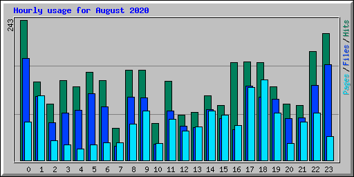 Hourly usage for August 2020